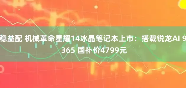 稳益配 机械革命星耀14冰晶笔记本上市：搭载锐龙AI 9 365 国补价4799元