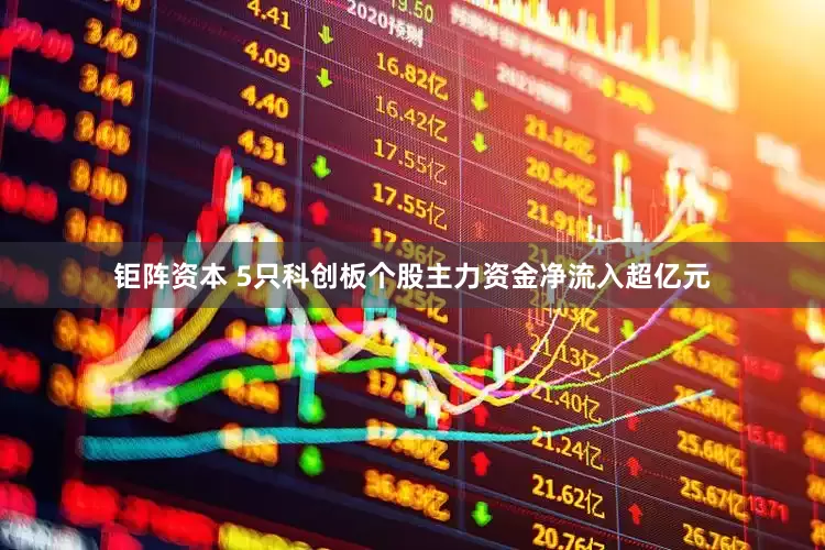 钜阵资本 5只科创板个股主力资金净流入超亿元